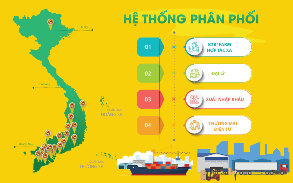 Hệ thống phân phối